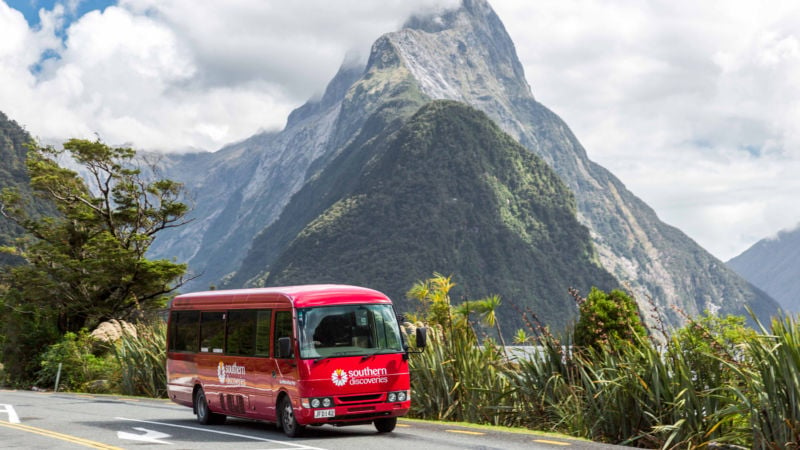 An unforgettable, personal Milford Sound day trip!